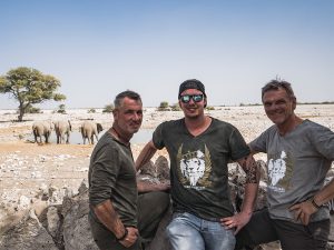 Auf Safari im Etosha mit Elefanten in Okaukuejo