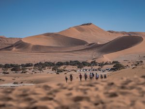 Afrikascout Reisegruppe im Sossusvlei in Namibia